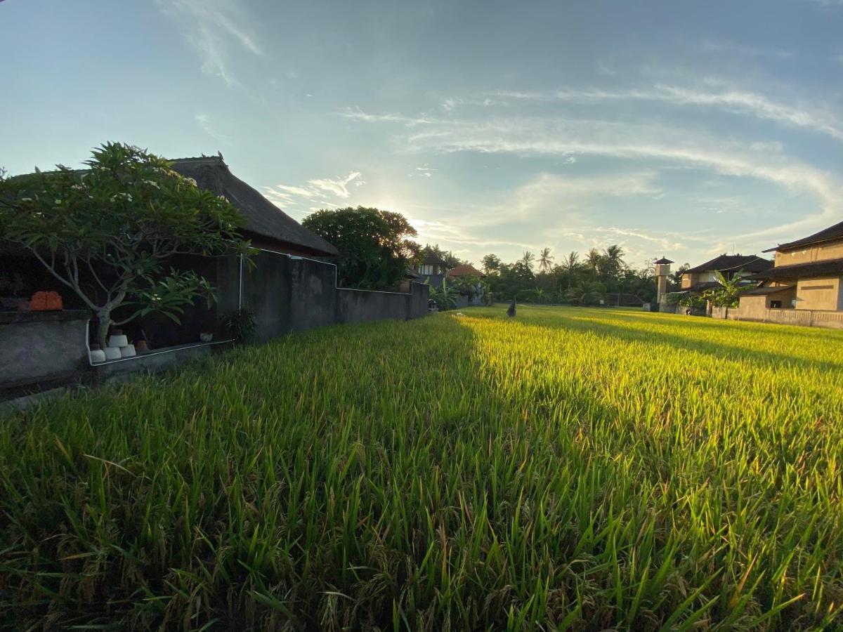 Rumah Dadong Ubud  Ngoại thất bức ảnh